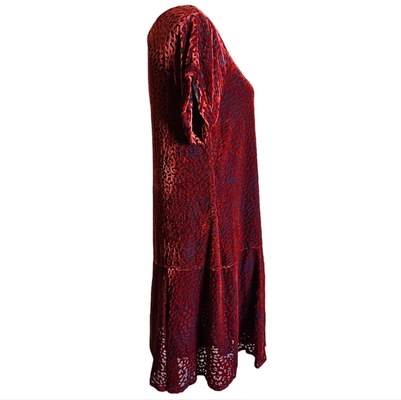 Johnny Was Jade Red Burnout Velvet Mini Dress Size XS Animal Print Silk Blend - Picture 6 of 16